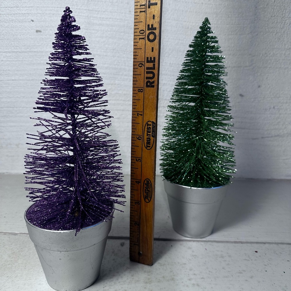 🌟PAIR OF BOTTLE BRUSH TREES IN POTS 🌟